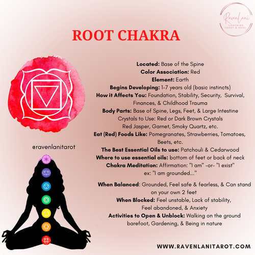 The Root Chakra: Building Your Foundation